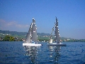 SailingPro-P1090272