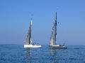 SailingPro-P1090370