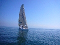 SailingPro-P1090373