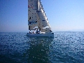 SailingPro-P1090374